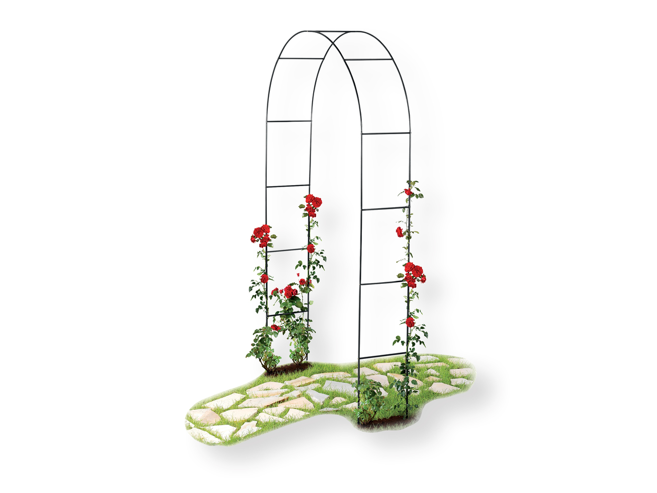 ‘Florabest(R)' Arco para plantas trepadoras
