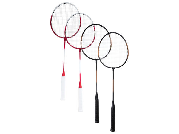 CRIVIT(R) Badmintonsæt