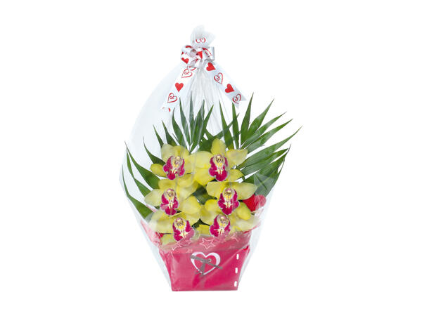 Orchid Cymbidium (cut), composition, 6 Flowers