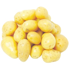 Pommes de terre "Agata"
