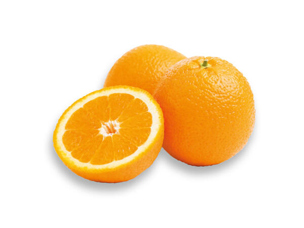 Oranges XXL