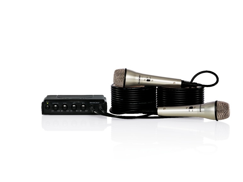 Set karaoke cu două microfoane