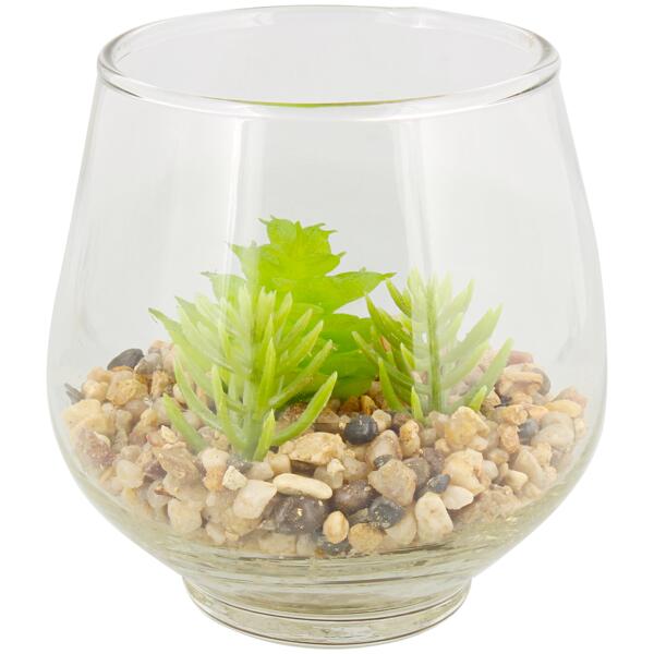 Fettpflanzen in Vase