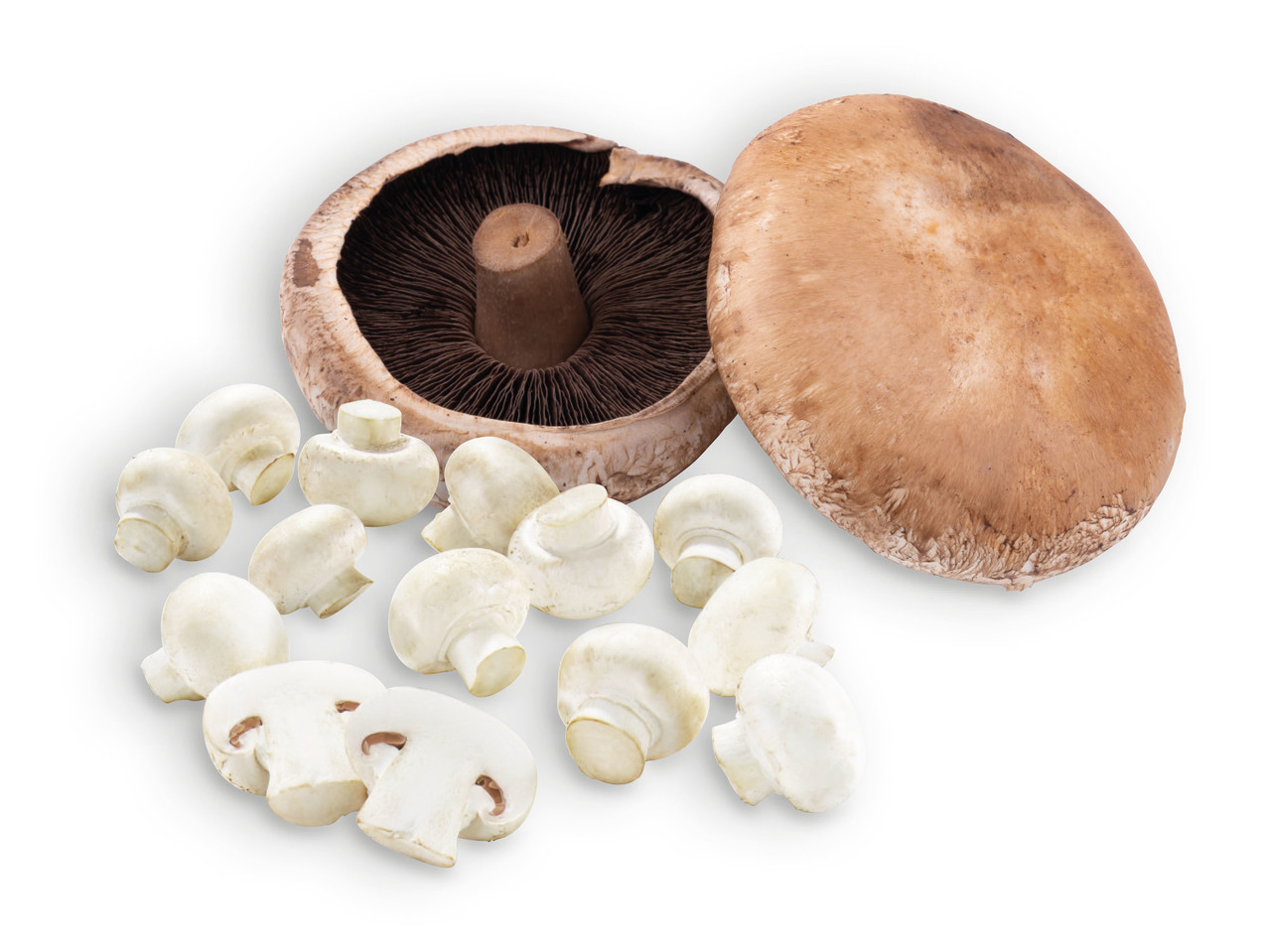 Cogumelos Portobello / Brancos