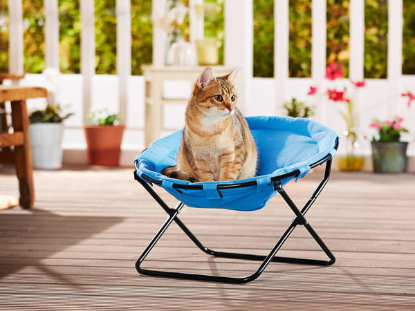Cat Chair / Teepee