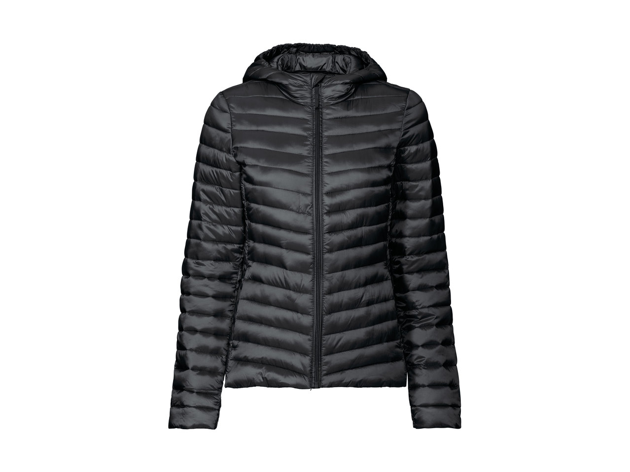 Livergy/Esmara Adults' Lightweight Thermal Jacket1