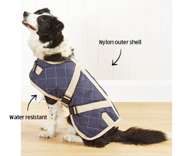 Dog Jackets – Medium or Large