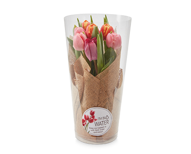 Beautiful Blooms Easter Tulip Cylinder