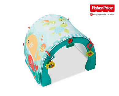 Fisher Price 4-in-1 Ocean Activity Gym