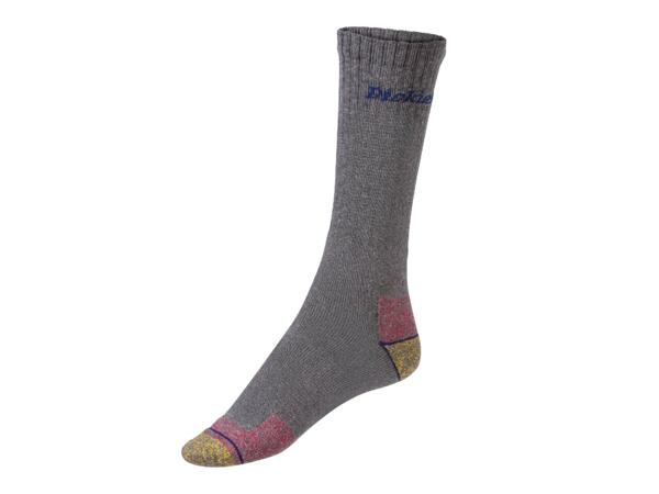 Men's Licensed Work Socks