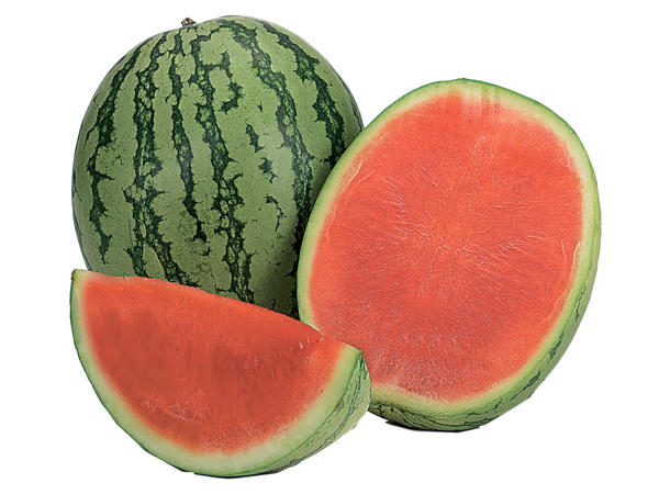 Wassermelone, kernarm