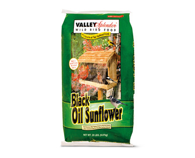 Valley Splendor Black Oil Sunflower
