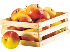 Pommes bicolores Bio "Gala"