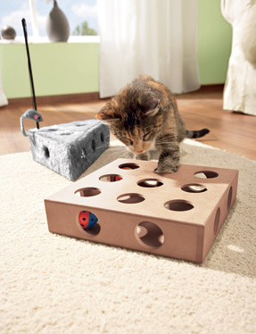 jouet chat dans une boite