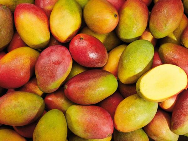 Érlelt mangó