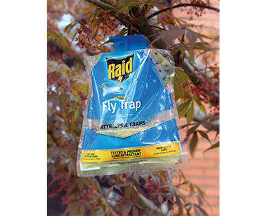 Raid Disposable Flying Insect Trap