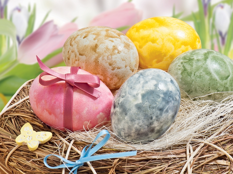 Set creativ colorat ouă, 4 modele