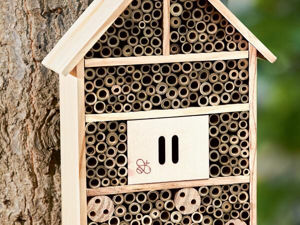 Caseta para abejas e insectos con doble tejado
