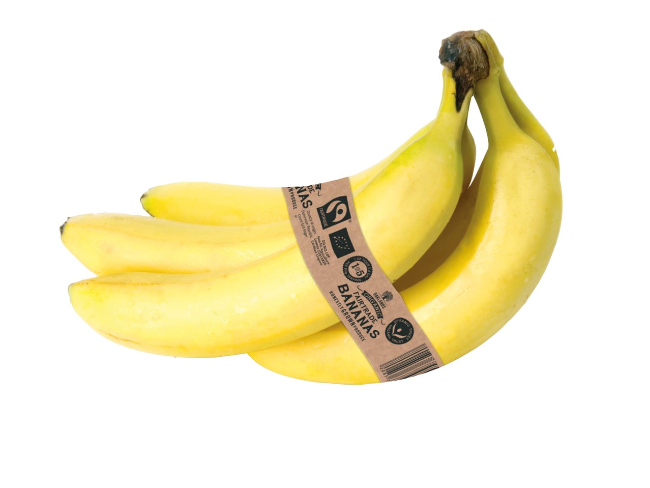 Organic Fairtrade Banana