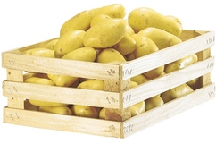Pommes de terre primeur Annabelle