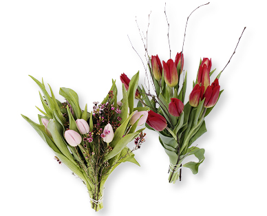 Bouquet de tulipes pour la Journée internationale de la femme