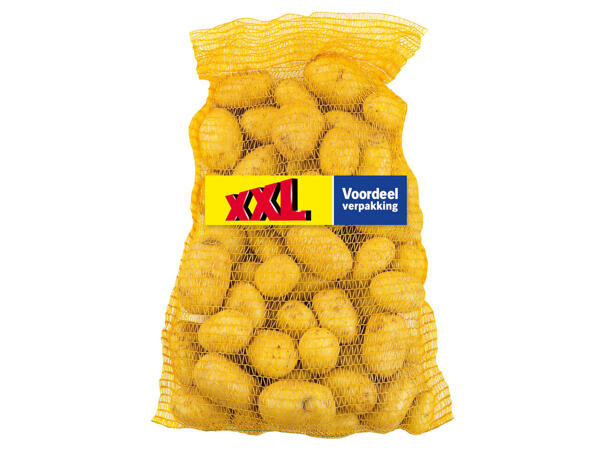 Pommes de terre pour frites XXL
