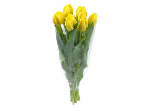 Tulipán- / rózsacsokor