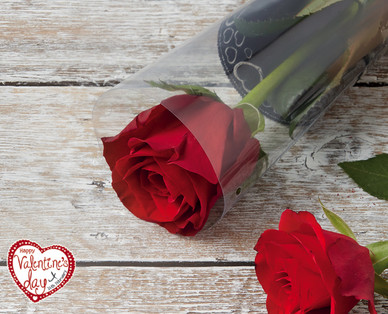 Valentine's Single Red Rose