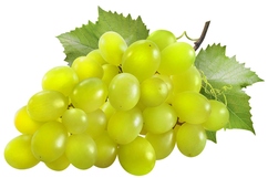 Raisins blancs "Italia"
