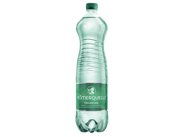 RÖMERQUELLE Mineralwasser