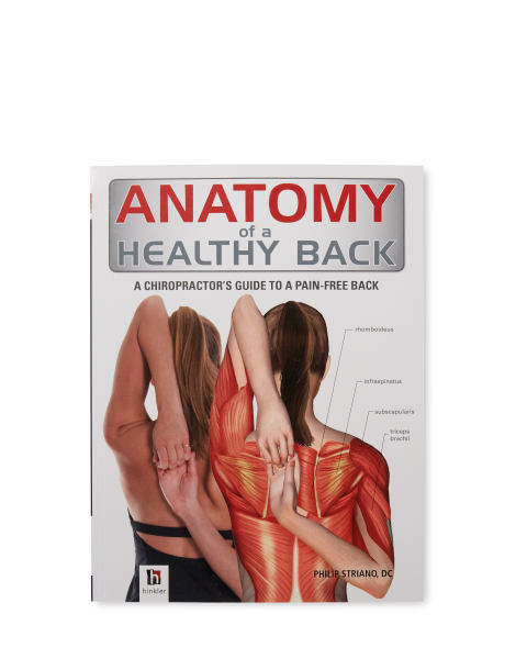 Anatomy Of A Healthy Back