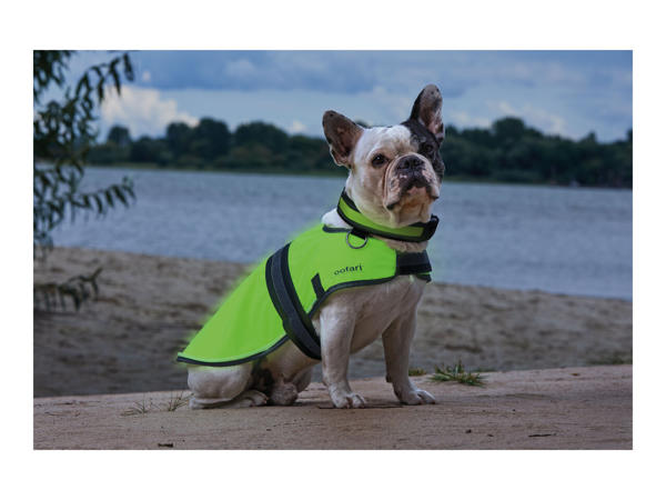 Zoofari Light-Up Dog Coat