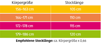 ADVENTURIDGE(R) Nordic-Walking-Stöcke „Carbon"