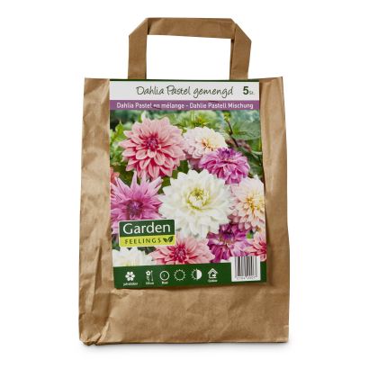 Bulbes de fleurs dans un sac