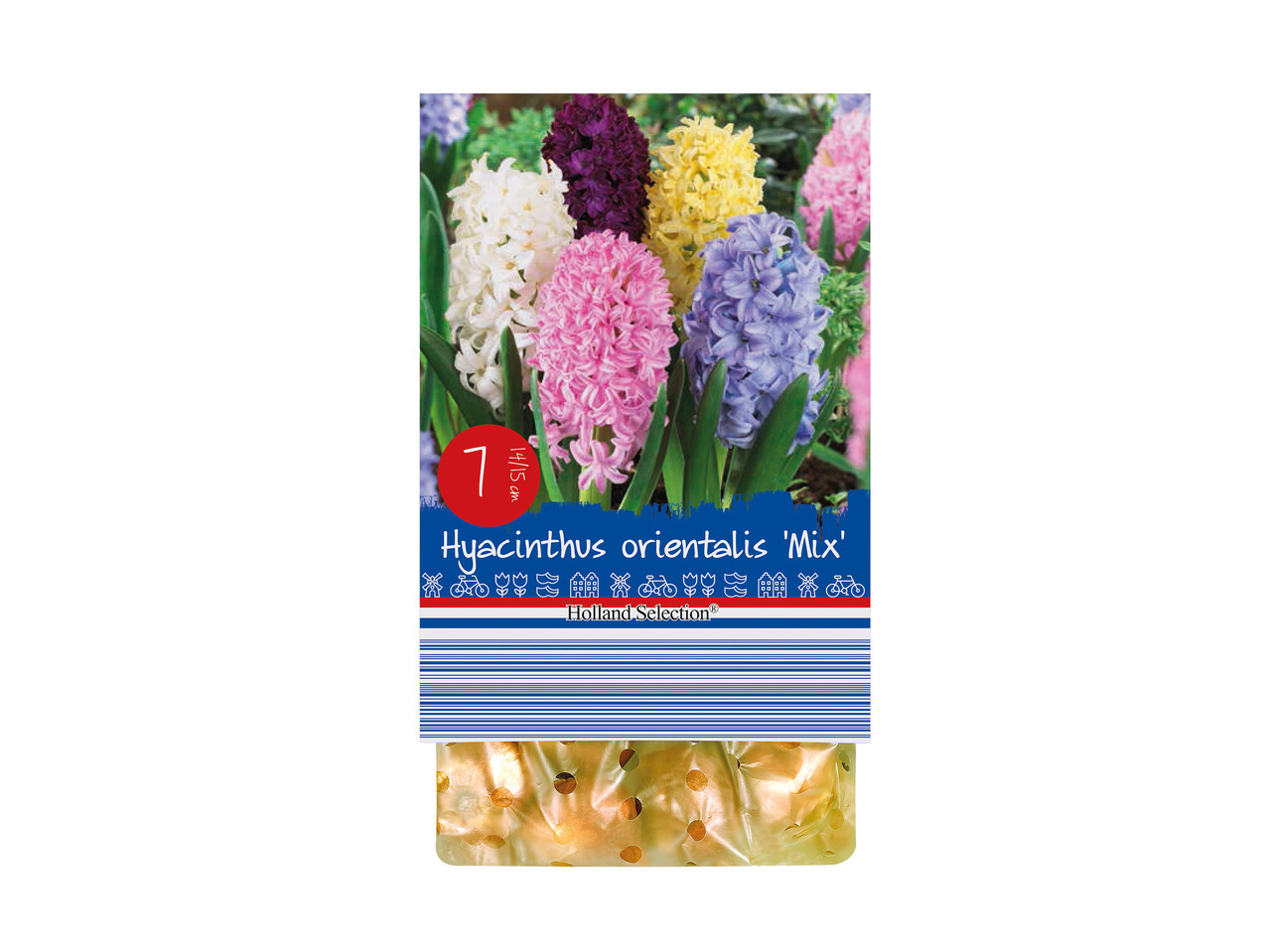 Flowering Bulbs1
