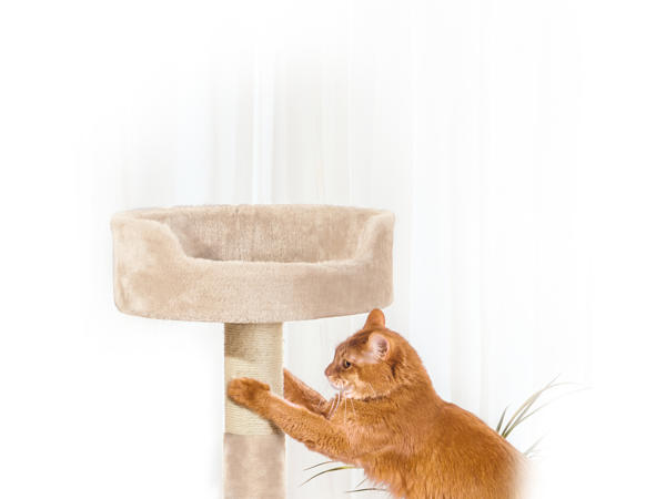 Tiragraffi a torre per gatti