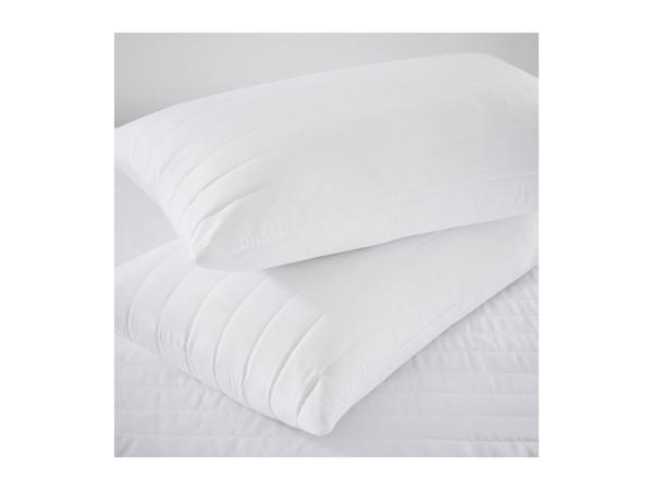 Silentnight Essentials Hollowfibre Pillow Pair1