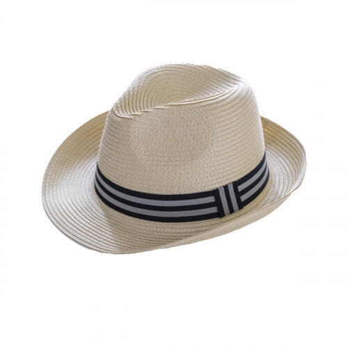 Chapeau d'été/de plage
