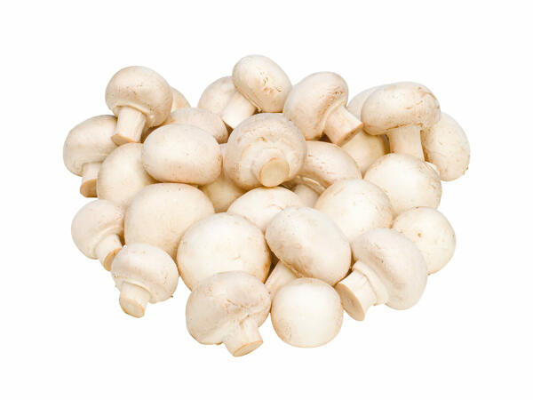 Ciuperci Champignon albe