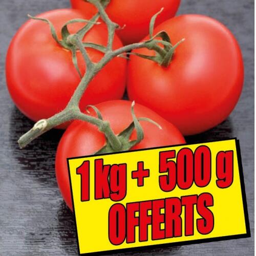 Tomates grappes