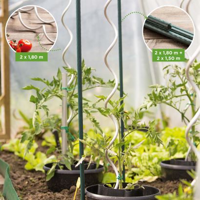 Tuteurs pour tomates/plantes
