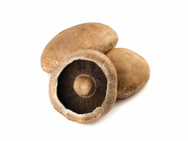 Ciuperci Portobello