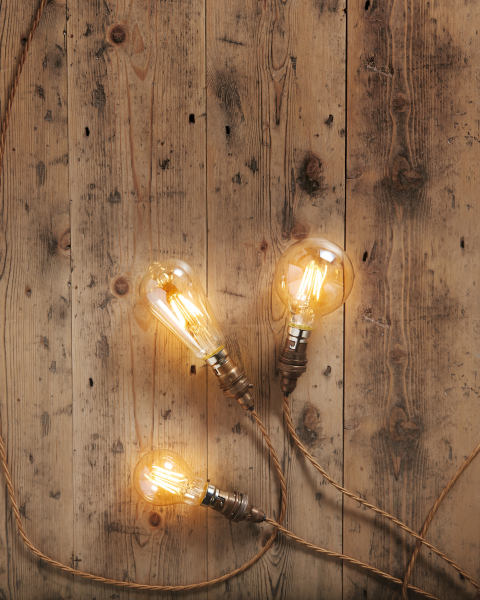 Antique LED Lightbulbs G80