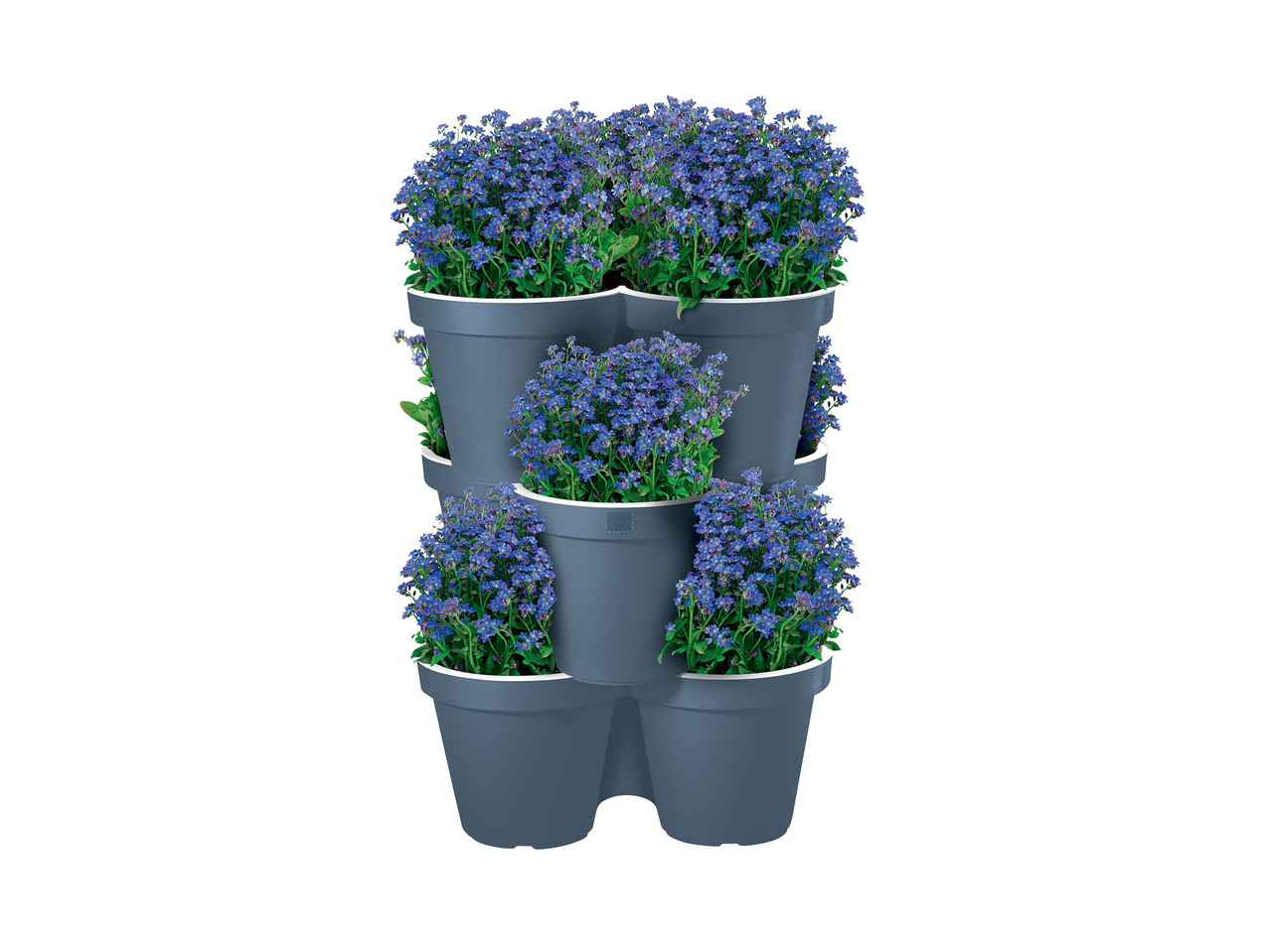 FLORABEST(R) Conjunto de Vasos para Plantas