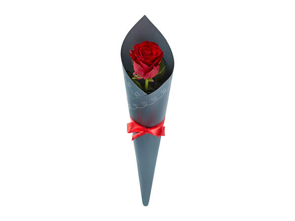 Deluxe Single Red Rose