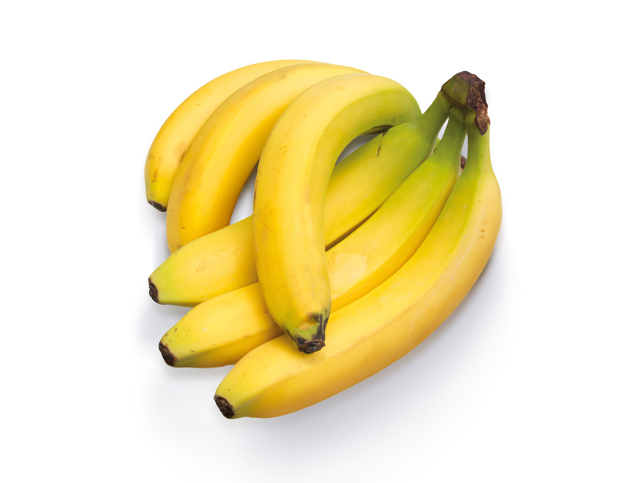 Banana Bio