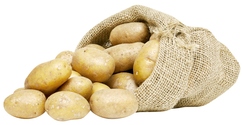 Pommes de terre de consommation primeur