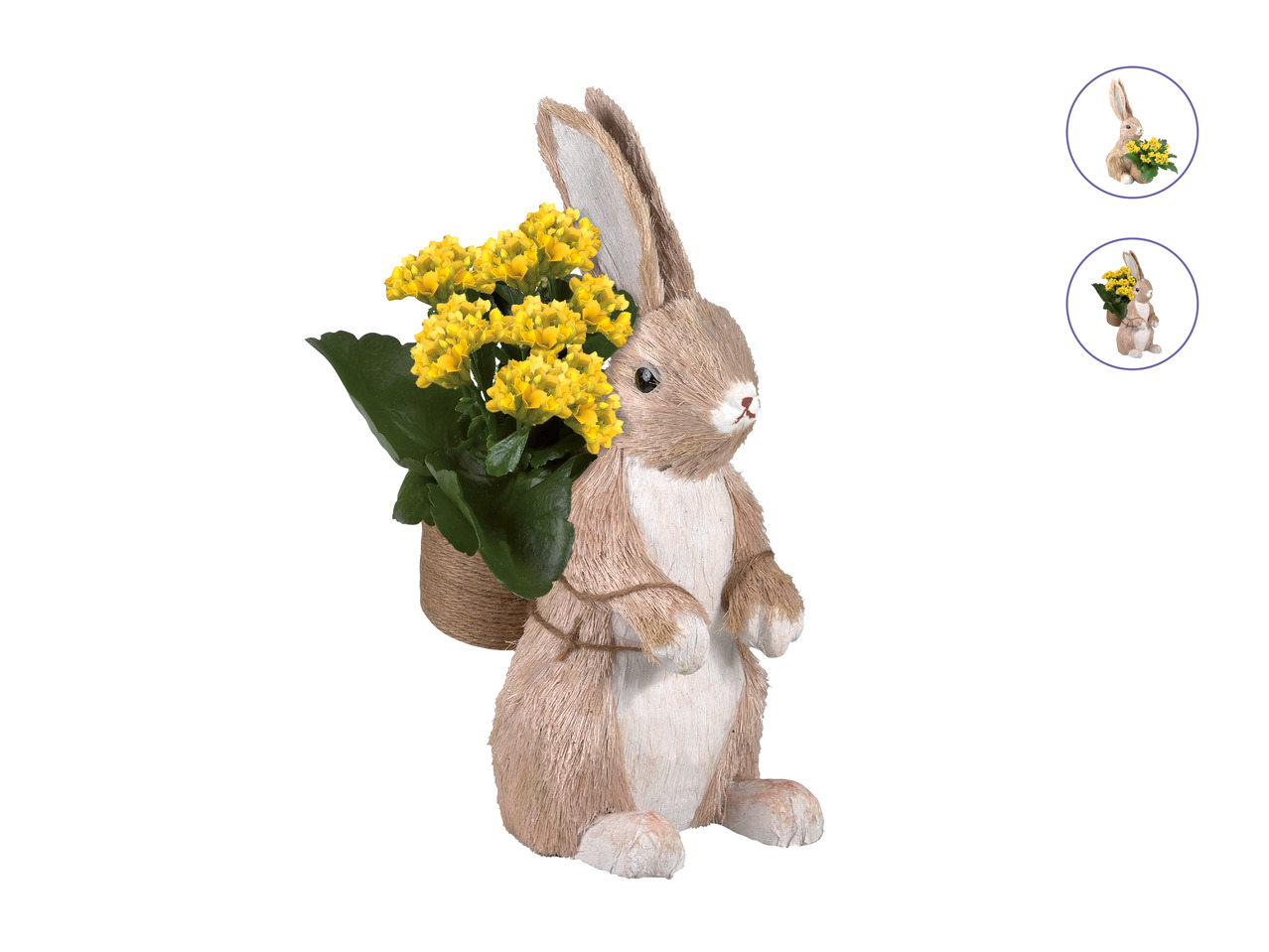 Easter Rabbit1