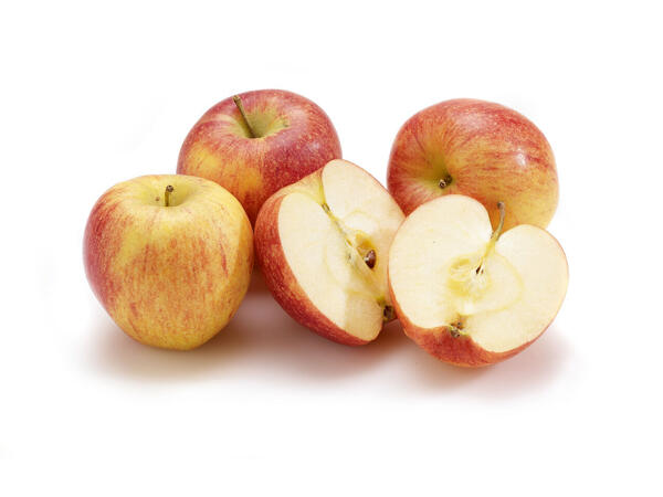 Pomme Double Red