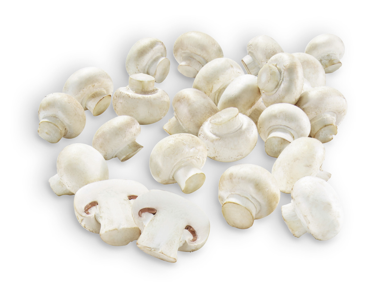 Cogumelos Brancos
